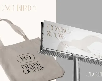 Song Bird | Modern Serif font