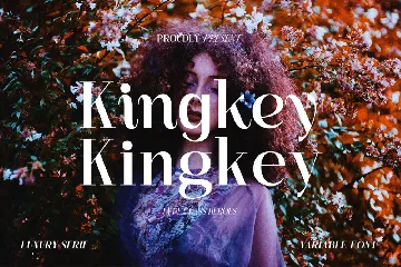 Kingkey - Serif Family font