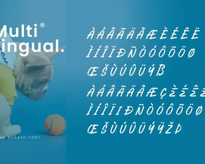 KOEASU - Misuh Display Font