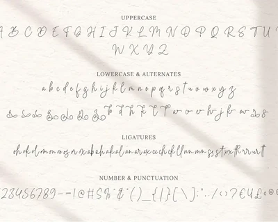 Bella Signature font