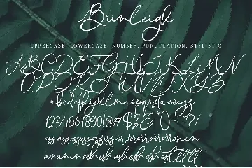 Brinleigh font