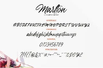 Handwritten Script - Marlton Signature font