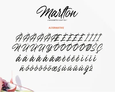 Handwritten Script - Marlton Signature font