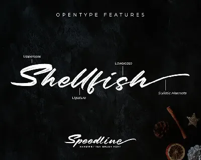 Speedline-Beautiful Brush Font