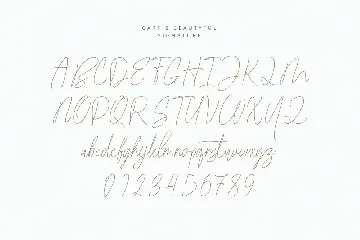 Cartis Beautyful Font Duo