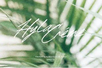 Royal Tropic â€“ Handwritten Brush Script Typeface font