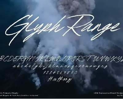 Royal Tropic â€“ Handwritten Brush Script Typeface font