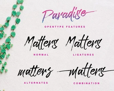 Paradise Typeface font