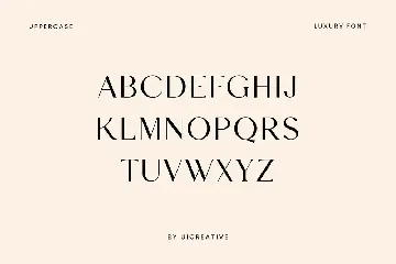 Salvager Luxury Serif Font