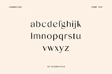 Salvager Luxury Serif Font