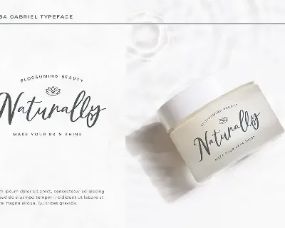 Alessa Gabriel - A Lovely Script Font