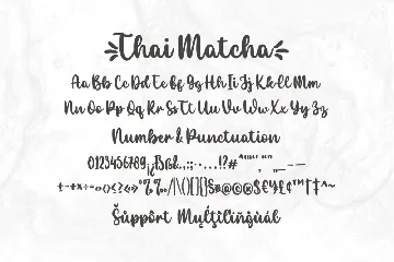 Thai Matcha Script Font
