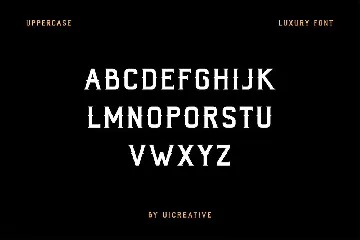 Victorian Vintage Serif Font