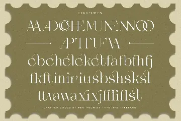 Amstine | Modern Serif font