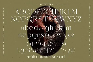 Amstine | Modern Serif font