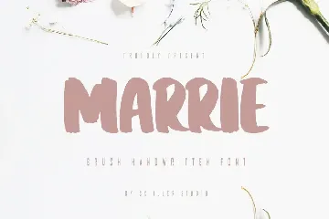 Marrie - Brush Handwritten Font