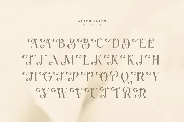 Ralita  - Modern Feminine Curly Font