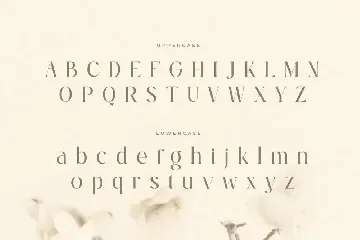 Ralita  - Modern Feminine Curly Font