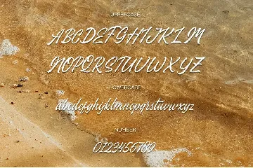 Handwritten Script - Stefina Signature font