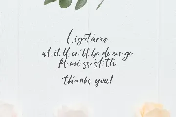 Anythings - Calligraphy Font