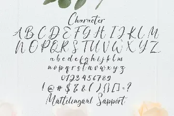 Anythings - Calligraphy Font