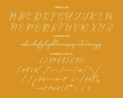 Dolventias Beautya Script Font