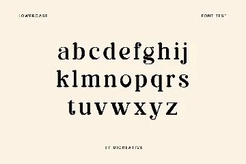 Delonizer Display Serif Font