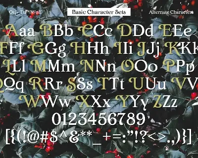 Last Christmas Wishes font