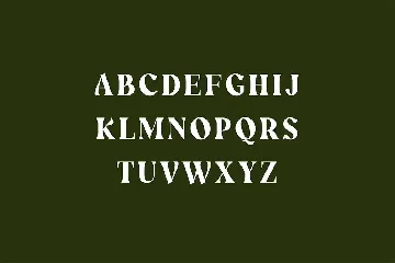 Wainscoted Modern Serif Font