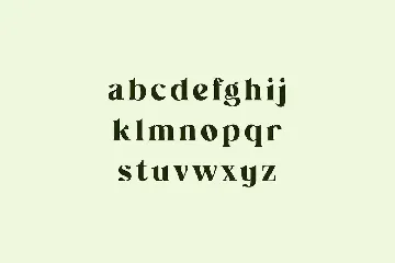 Wainscoted Modern Serif Font