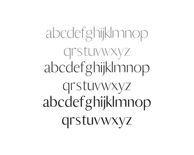 Berton Sans Serif Font Family Pack