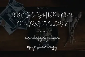 Danielle Signature - Handwritten font YR