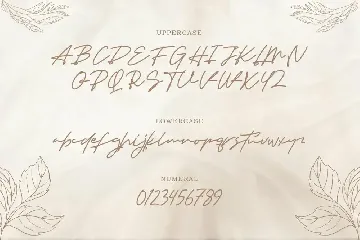 Senja - Monoline Handwritten Font