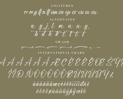 Brushtime Logotype Modern Script Font