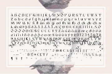 Auten Shany Serif Font