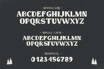 Hastag â€“ Vintage Display Font