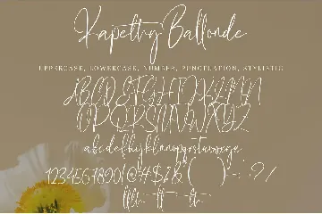 Kapethy Ballonde font