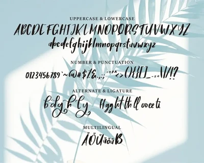 Brigal | A Beauty Script Font