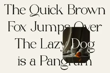 Mostgreen - Elegant & Stylish Serif font