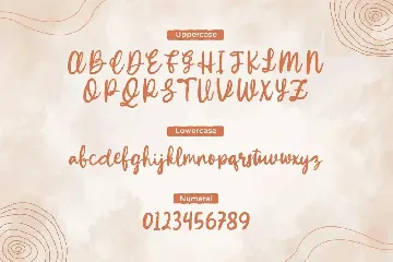 Winola â€“ Handwritten Brush Font