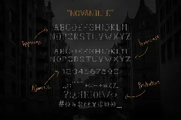 Novanille Display Fonts