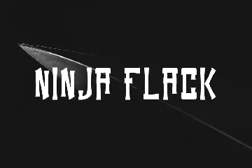 Ninja Flack font