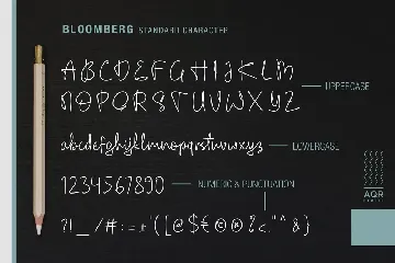 Bloomberg Script Fonts