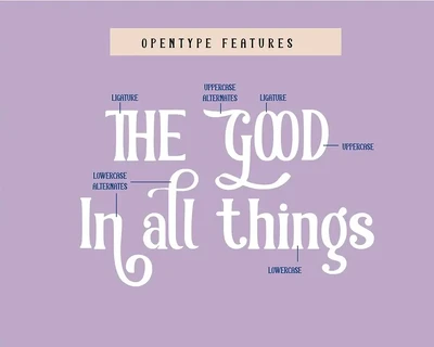 Blackcurrant | Serif Display Font