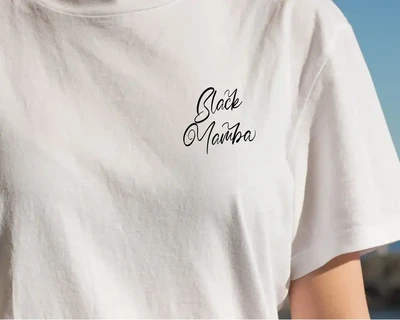 Calligrapher | Modern Script Font