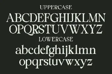 Staller - A Modern Beauty Font