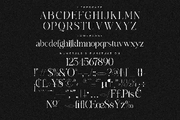 Branden Raulner Elegant Serif Font