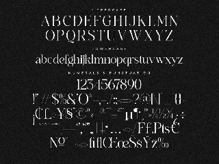 Branden Raulner Elegant Serif Font