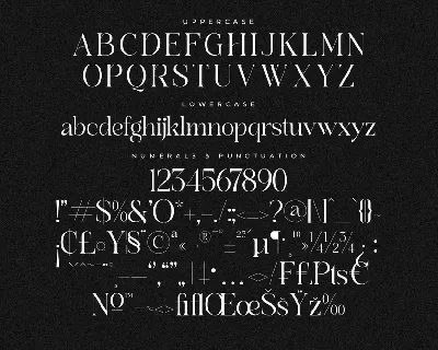 Branden Raulner Elegant Serif Font