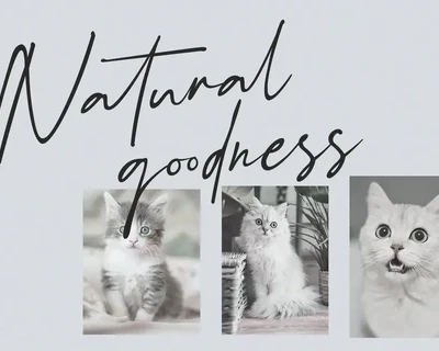 SchrÃ¶dinger's | Signature Font